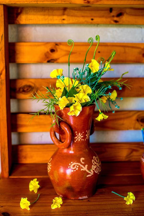 Pousada Nativos Miranda Ngoại thất bức ảnh